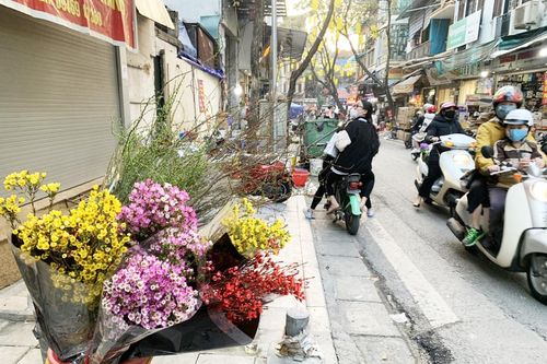 Vì sao hoa Trung Quốc 'lấn lướt' trên thị trường Hà Nội?