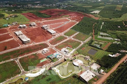 Lâm Đồng tạm dừng giải quyết việc phân lô, tách thửa đất trên địa bàn