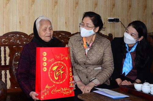 Hội LHPN Việt Nam thăm, chúc Tết người có công tại Tuyên Quang