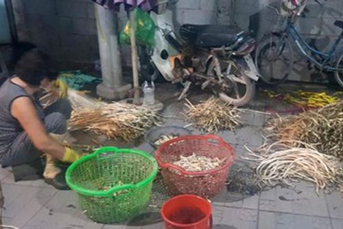 Phát hiện hàng tấn ngó sen ngâm trong hóa chất làm trắng để bán ra chợ đầu mối