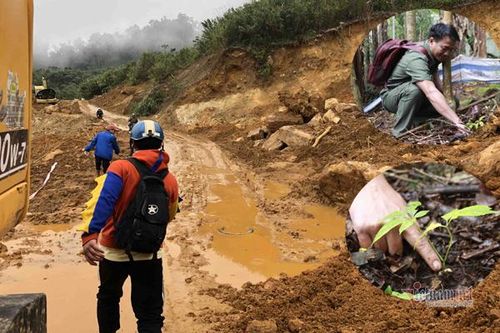 Vượt cung đường khủng khiếp đi tìm 'báu vật' của rừng