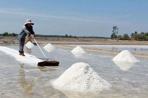 Nghề muối lạc hậu đến bao giờ?