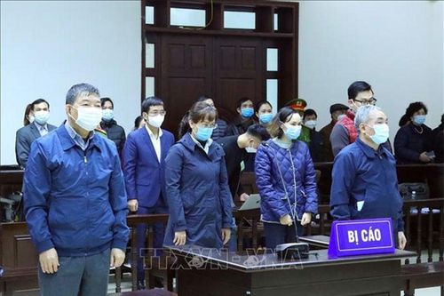 Tuyên án 8 bị cáo trong vụ án tại Bệnh viện Bạch Mai