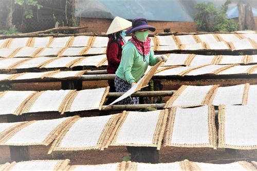 Đơn hàng tới tấp, làng bánh tráng, bún miến hoạt động hết công suất