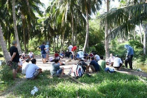Triệt xóa tụ điểm đá gà quy mô lớn ngày giáp Tết