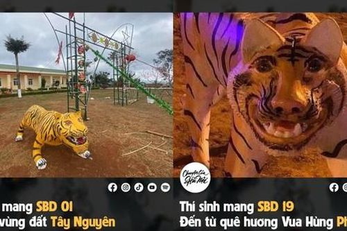 Muôn kiểu tạo hình hổ: Địa phương nào sẽ được 'trao' danh hiệu 'Hoa hậu' của năm Nhâm Dần?