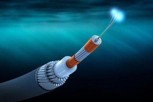 Sợi cáp ngầm bị đứt ở Tonga sẽ được nối lại như thế nào?