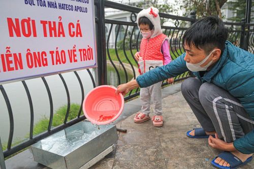 Hà Nội: 'Cá chép bơi đi, nilon ở lại'