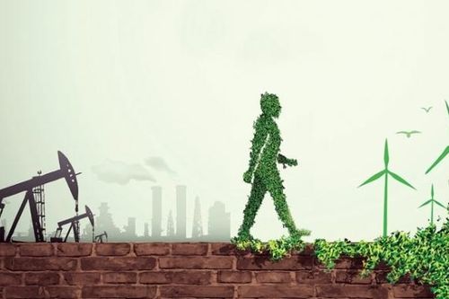 Trung hòa Carbon: Đánh tráo khái niệm hay giải pháp xanh đúng nghĩa?
