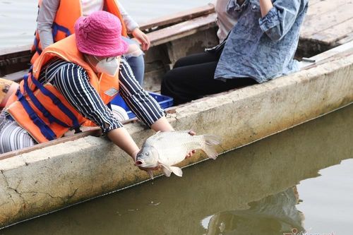 Người dân TP.HCM ra giữa sông phóng sinh cá tiễn ông Táo về trời