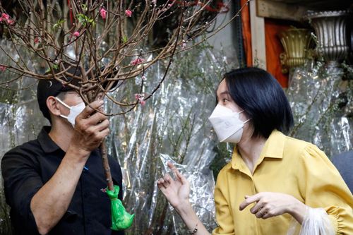 Chợ hoa lớn nhất TP.HCM hồi sinh dịp cận Tết