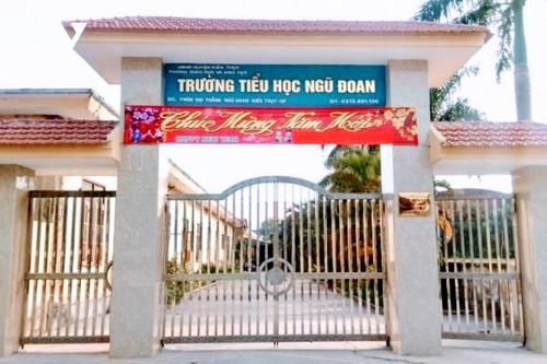 Đề nghị dừng hợp đồng với giáo viên Trường tiểu học Ngũ Đoan (Hải Phòng)