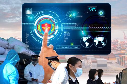 Tổ chức Hải quan Thế giới gợi ý 3 cách tiến tới 'hải quan số'