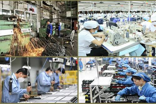 Chính phủ ban hành Nghị định về miễn, giảm thuế