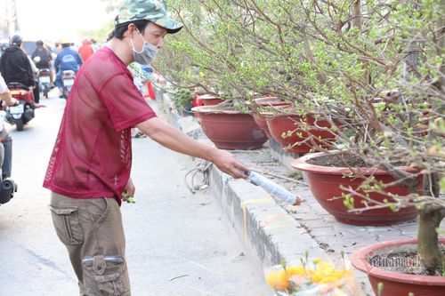 Chợ hoa Tết trên bến dưới thuyền ế ẩm, tiểu thương đốt vía giải xui