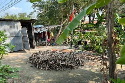 Cận Tết, con sát hại mẹ chỉ vì ... bị mẹ la mắng