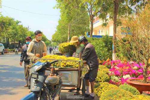 Chợ hoa xuân Buôn Ma Thuột đìu hiu, 'ngóng' khách xuống tiền