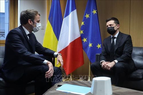 Lãnh đạo Ukraine và Pháp thảo luận hợp tác theo định dạng Normandy