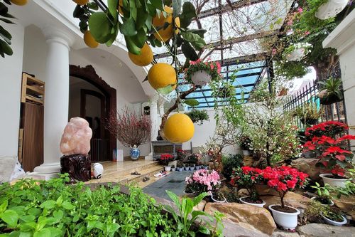 Biệt thự sang trọng ngập hoa Tết của Tuấn Hưng và vợ chủ tịch