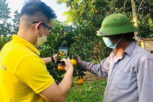 Ở núi đá Đồng Văn bán bánh chưng xuyên Việt, tận Bình Phước ship chuối qua Hà Lan