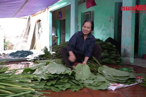 Làng lá dong 600 năm ở Hà Nội tất bật ngày giáp Tết