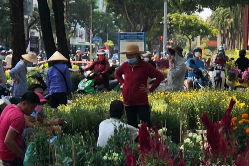 Tất nập mua hoa giảm giá ngày 29 Tết