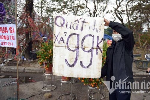 'Toang' chiều 29 Tết: Quất xả hàng đồng giá, đào giá nào cũng bán