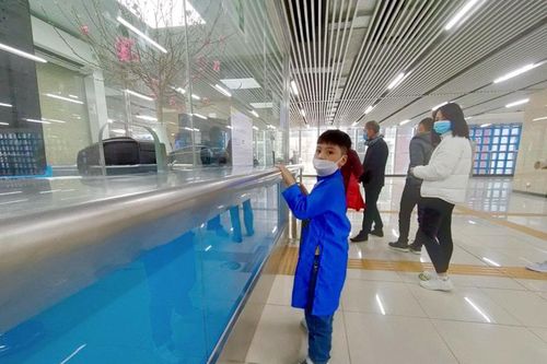 Hà Nội: Người dân du Xuân bằng tàu điện Cát Linh - Hà Đông