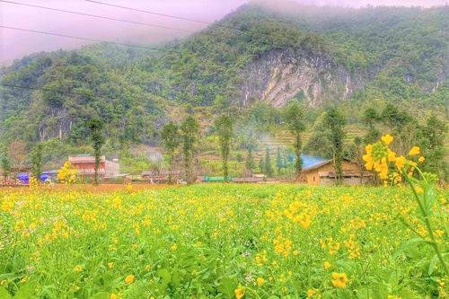 Tháng 2 - Mùa đẹp nhất du lịch Hà Giang trong năm cho những chuyến đi