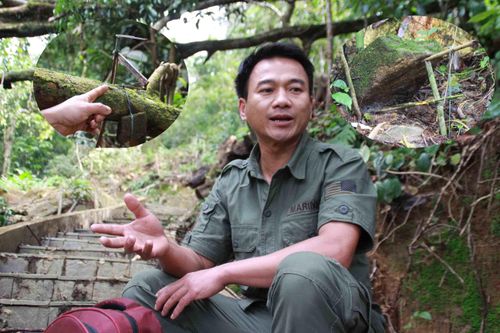 Tâm tư người giữ 'báu vật' trên đỉnh Ngọc Linh