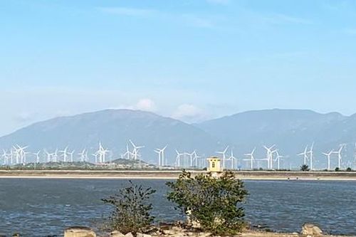 Những cánh đồng điện gió đẹp như tranh vẽ trên rừng, dưới biển