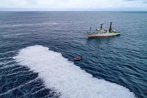 Sự cố 'tràn cá' khiến giới chức Pháp phẫn nộ