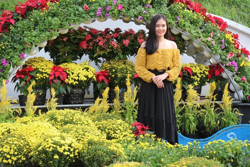 Đường hoa xuân thành Vinh tấp nập những ngày đầu năm mới