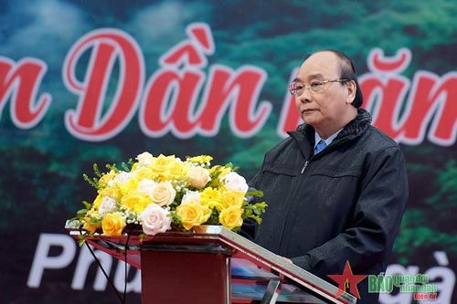 Chủ tịch nước Nguyễn Xuân Phúc phát động Tết trồng cây 'Đời đời nhớ ơn Bác Hồ' Xuân Nhâm Dần 2022 tại Đền Hùng