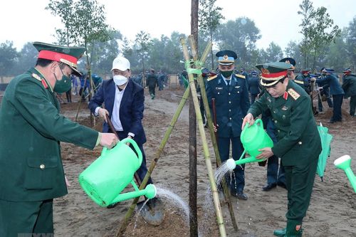 Toàn quân phấn đấu trồng 3,3 triệu cây phân tán và gần 2.500ha rừng