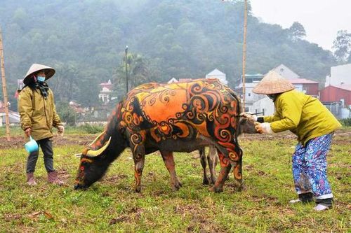 Độc đáo 'trâu hóa hổ' ngày lễ Tịch điền năm Nhâm Dần