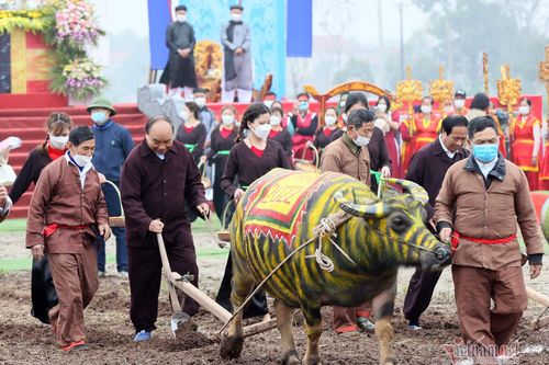 Chủ tịch nước xuống đồng cày ruộng ở lễ Tịch điền