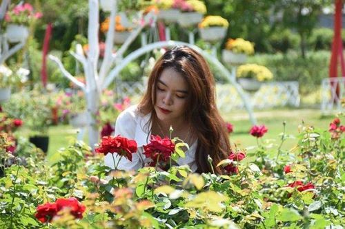 Khách du lịch đổ về miền Tây tăng đột biến