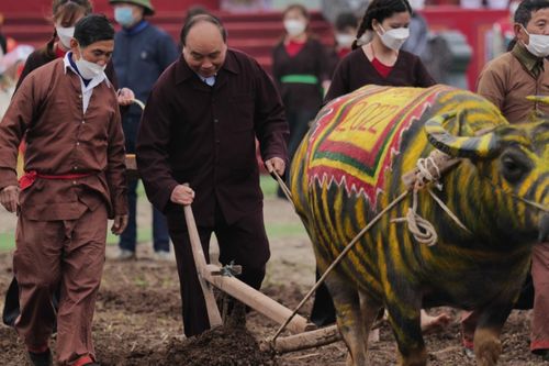 Chủ tịch nước xuống đồng cày ruộng trong lễ hội Tịch điền