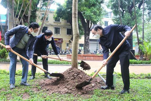 Chủ tịch UBND thành phố Chu Ngọc Anh tham dự Tết trồng cây ở quận Hai Bà Trưng