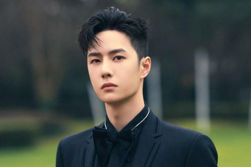 Chưa có ai kế thừa Ngô Kinh, Thẩm Đằng