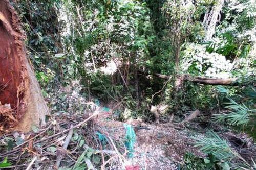 Bộ Công an chỉ đạo giải quyết vụ tai nạn giao thông đặc biệt nghiêm trọng tại Gia Lai
