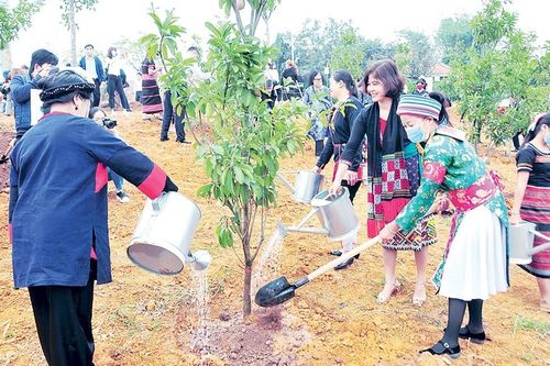 Tiếng trống thôi thúc những mùa xanh