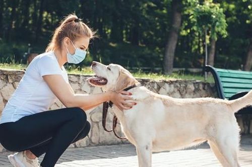 Không nhặt chất thải khi chó cưng đi bậy trên phố từ 6 tháng trước, bị phạt hẳn 13 triệu!