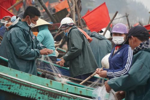 Ngư dân Bắc miền Trung đánh bắt gần bờ cho thu nhập cao