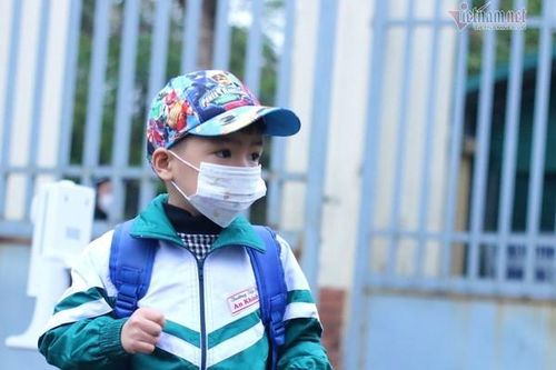 Sở GD-ĐT Hà Nội nói về việc tổ chức bán trú ở tiểu học