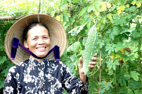 Đòn bẩy để nông sản Việt đi xa