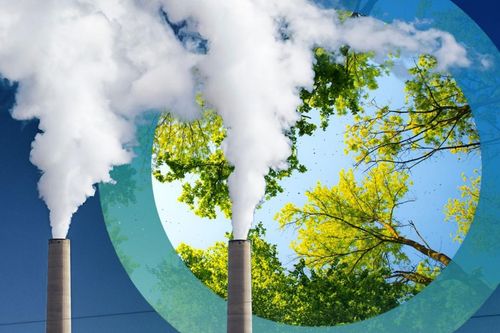 Vương quốc Anh: Các mỏ dầu và khí đốt phù hợp với kế hoạch không ròng
