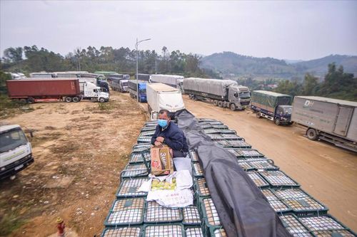 Lạng Sơn lại dừng tiếp nhận phương tiện chở hoa quả tươi xuất khẩu
