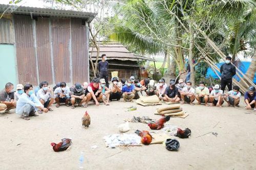 Bắt quả tang 32 đối tượng đá gà, ăn tiền